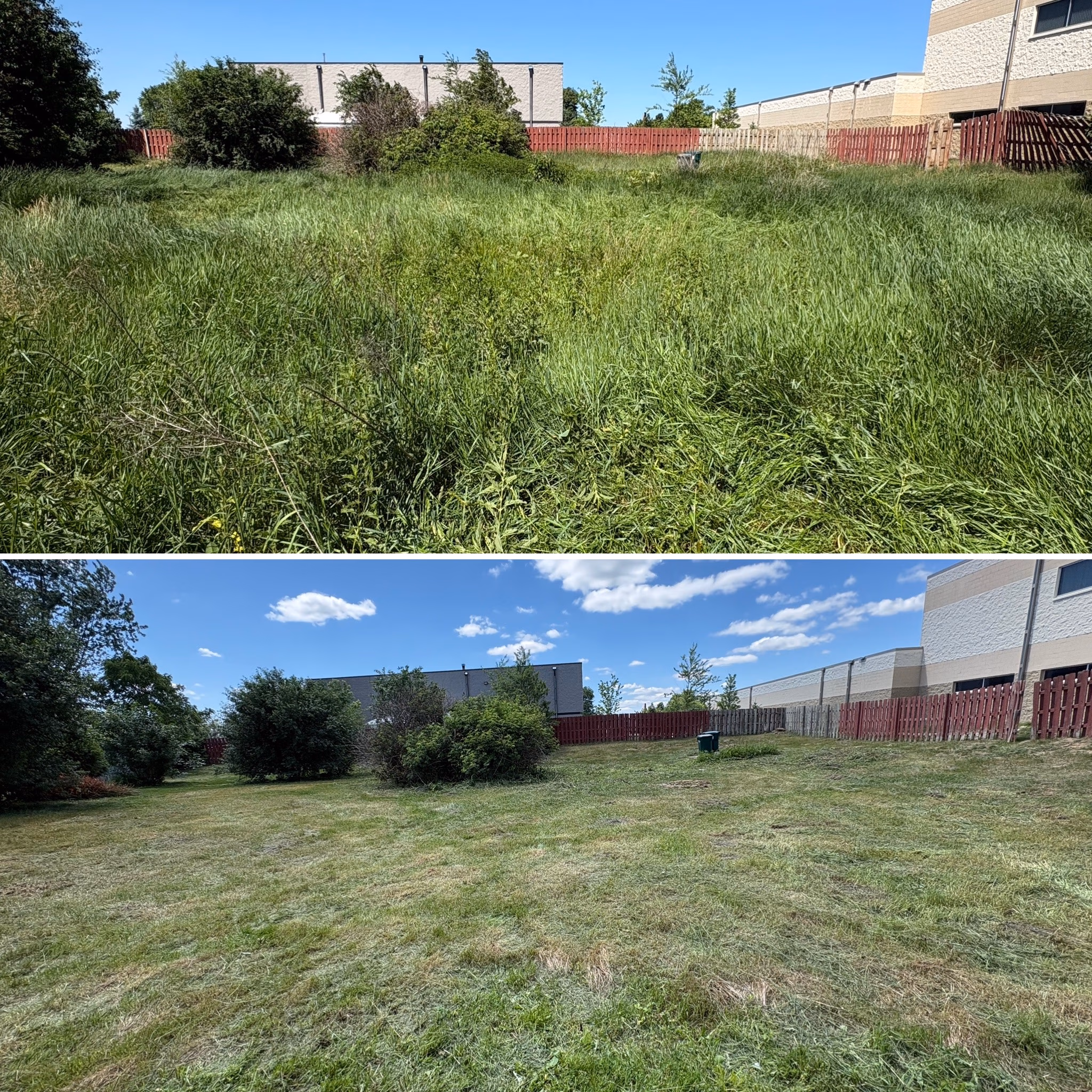 Side-by-side images of overgrown grassy area before and after it was mowed near buildings and red fence.