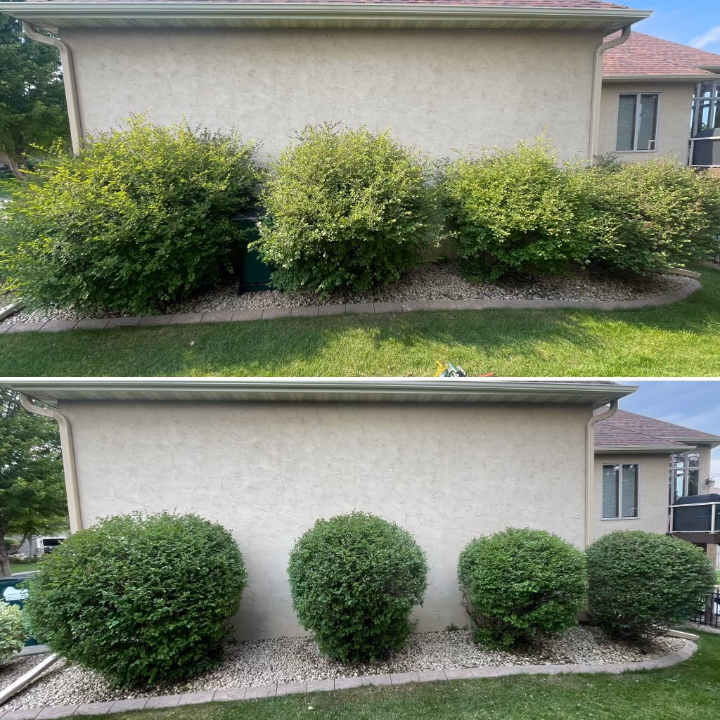 Side-by-side images of a house wall with untrimmed bushes above and neatly trimmed round bushes below.