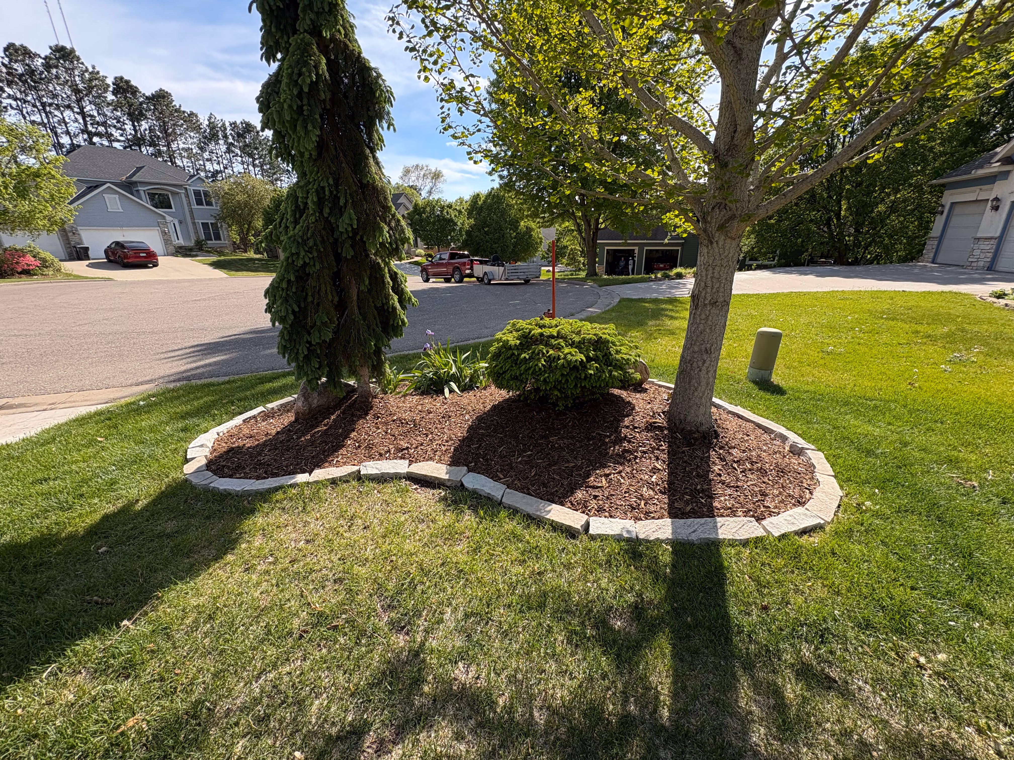 Mulched garden bed with two trees and a shrub bordered by stone on a sunny lawn near a street.