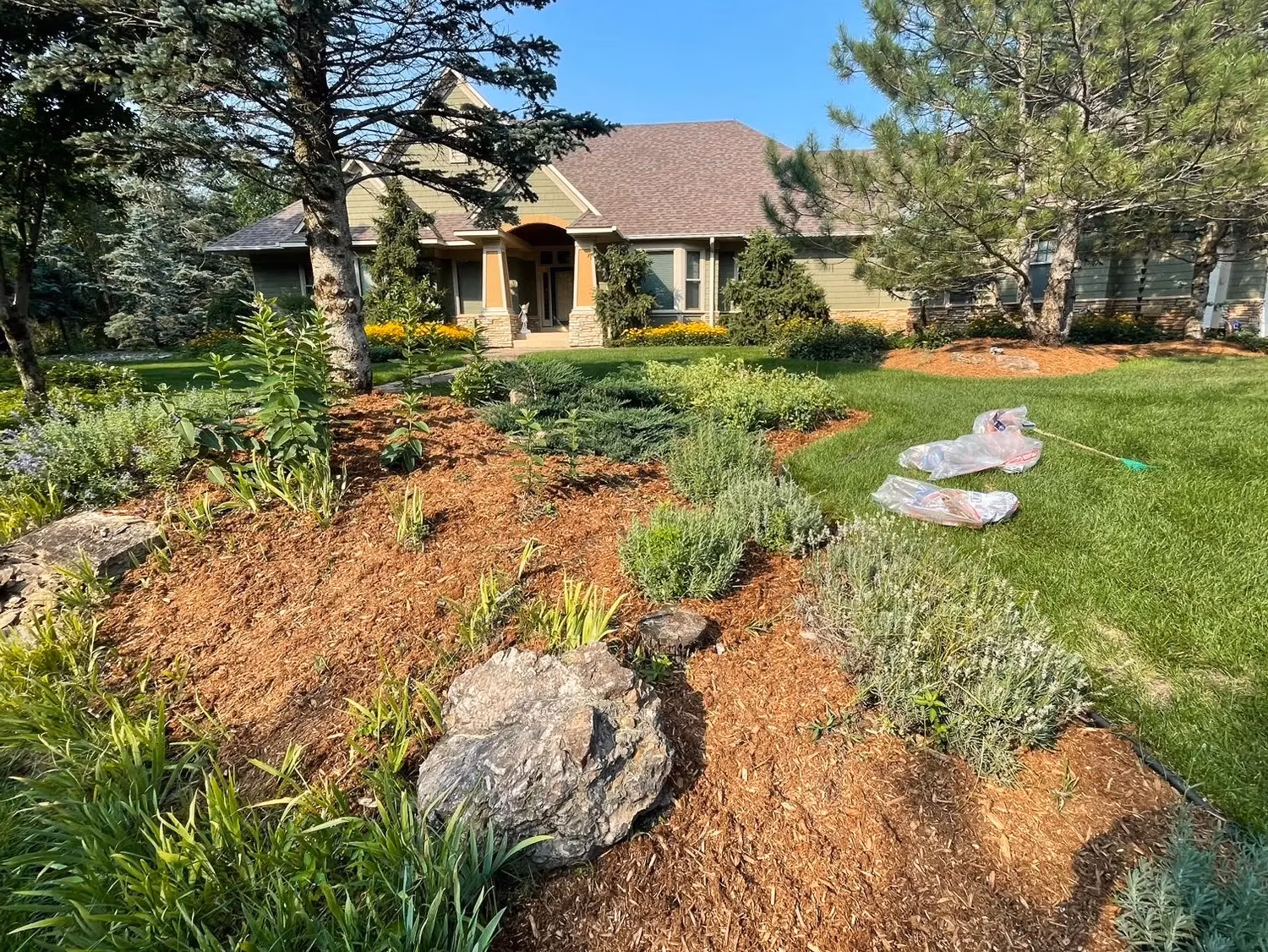 Mulched garden beds with shrubs and plants in front of a green house with a brown roof on a sunny day.