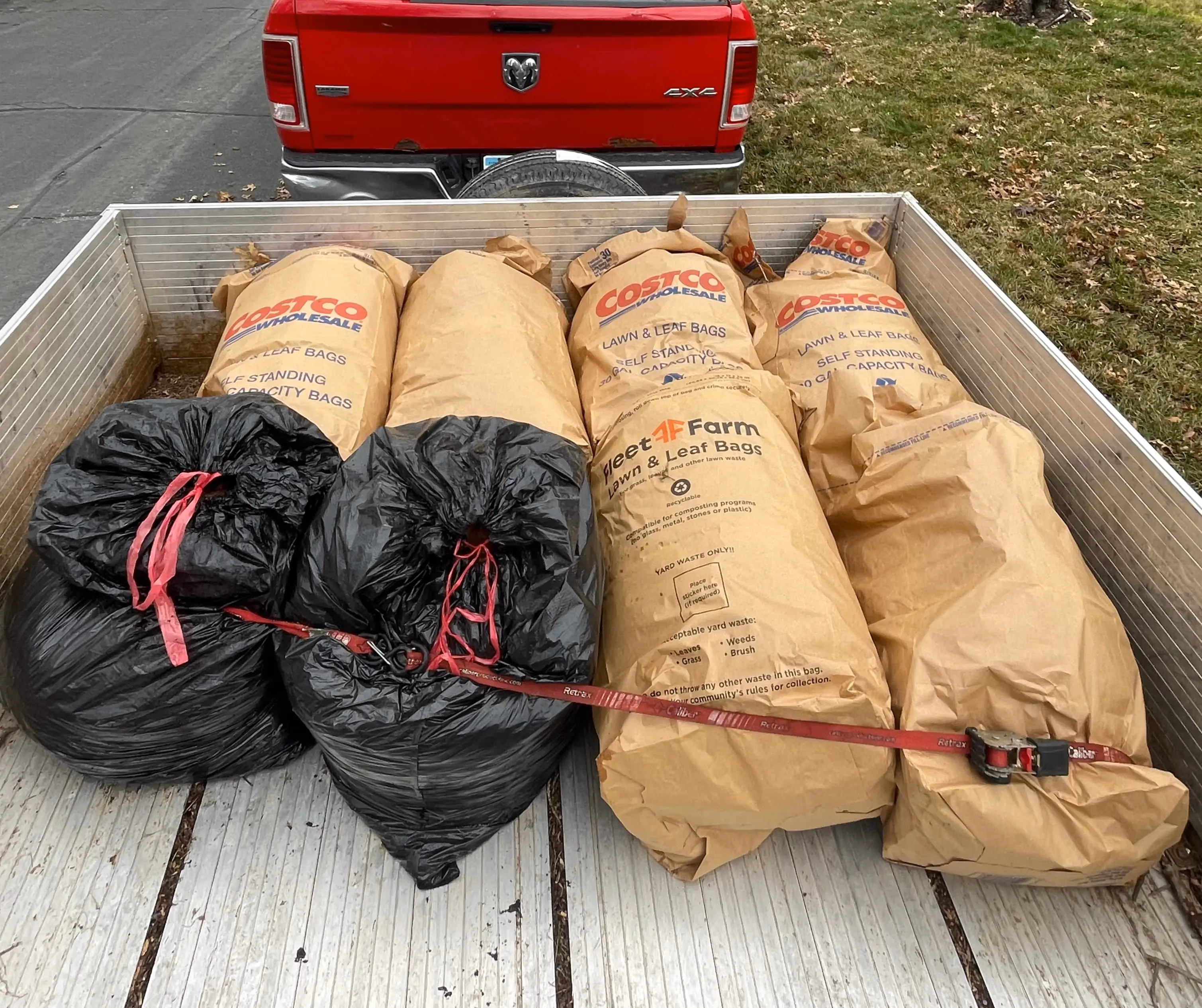 Black and brown leaf bags secured with a red strap in the bed of a trailer behind a red truck.